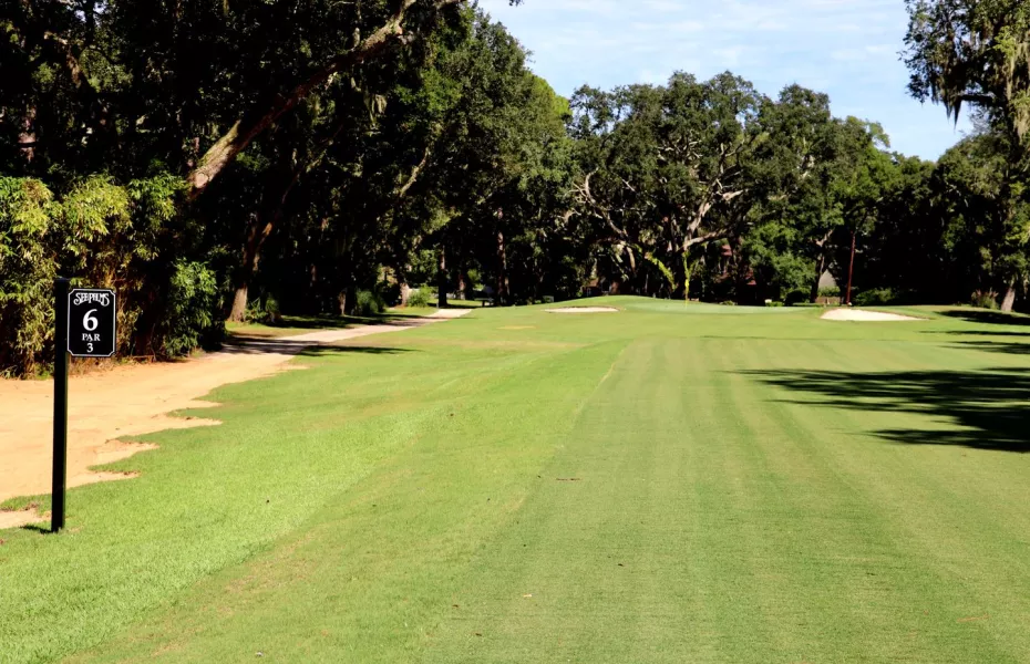 35th Annual Perry C Harvey, Senior Memorial Golf Tournament: Shotgun Start